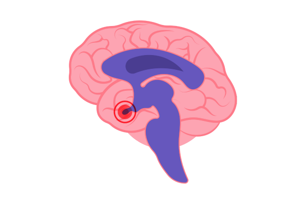 Descubre los Secretos